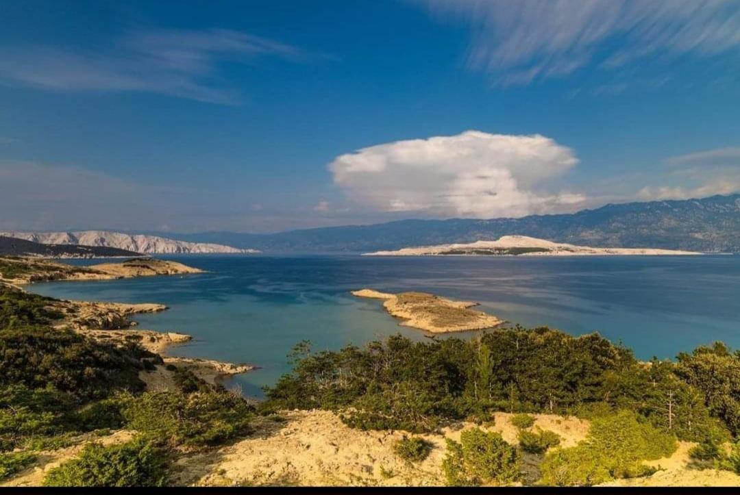 Apartmani Ana I Predrag Lopar Oda fotoğraf